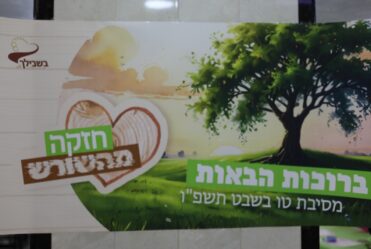 Tu B’Shvat: Growing from Within